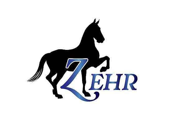 Zehr Boys