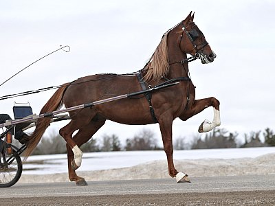 TSM_6822_cropped.jpg
