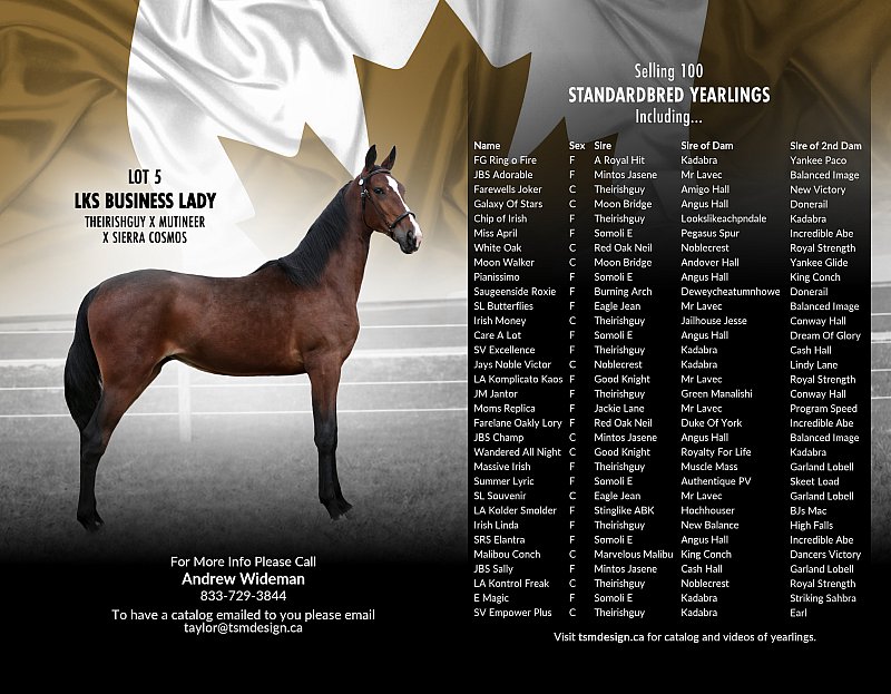 2026-Yearling Sale_Inside Booklet_ver2-HILLSIDE.jpg