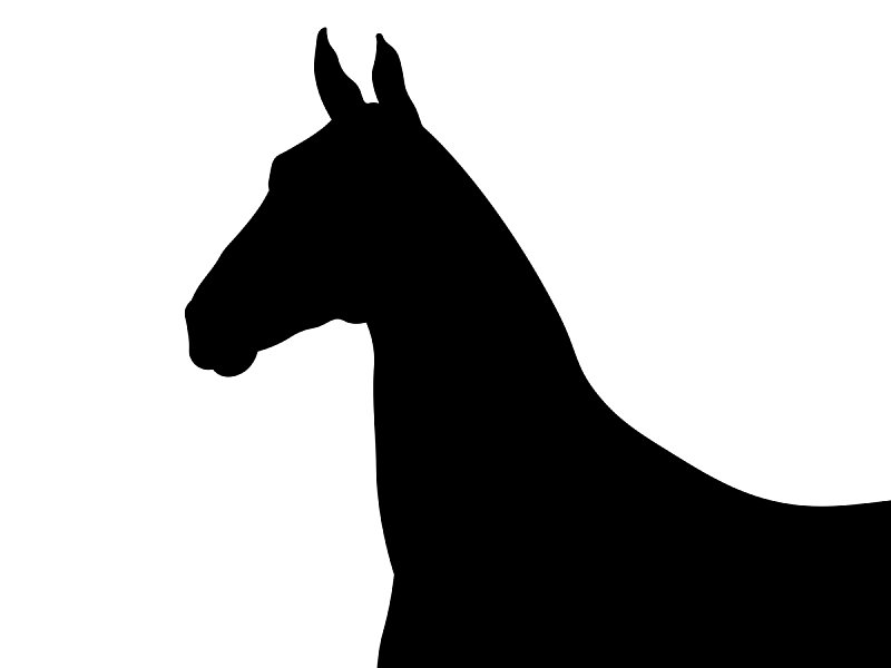2026-No Photo Horse.jpg